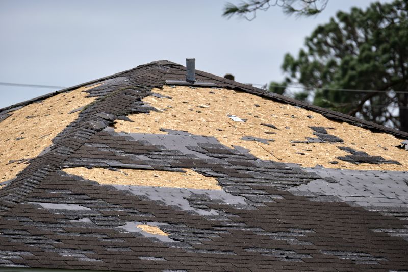 Damaged Roofs