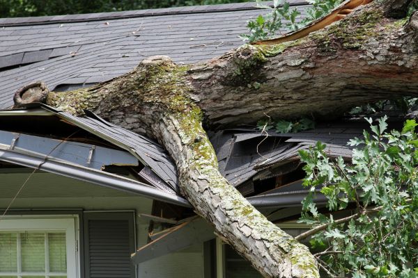 Cost of Storm Remediation in Hudson