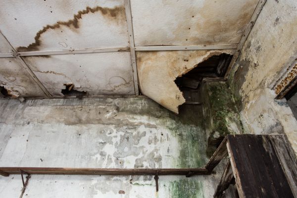Water Damage Service in Hudson