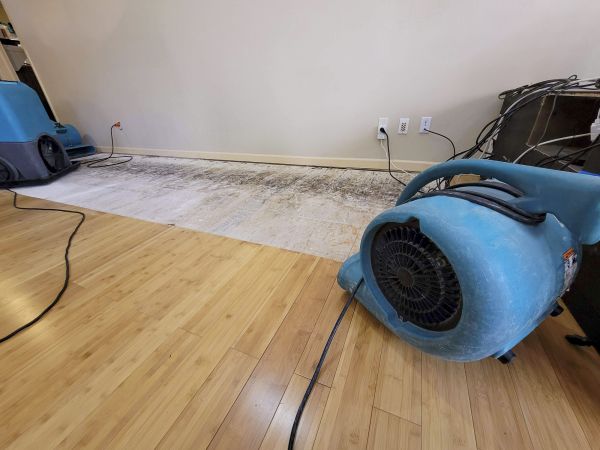 Water Damage Mitigation in Hudson