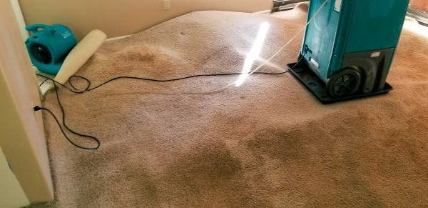 Flood Damage Cleanup in Hudson