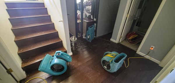 Water Damage Remediation in Hudson