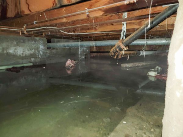 Cost of Water Mitigation Service in Hudson