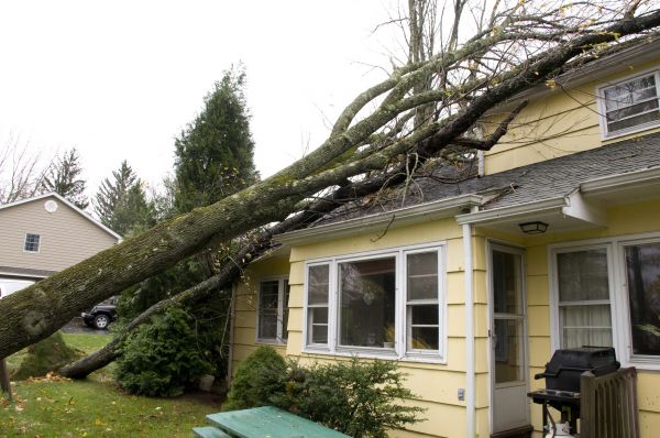 Hurricane Damage Repair in Hudson